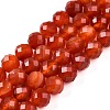 Dyed Natural Agate Beads Strands G-T141-16A-01-1