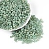 Picasso Baking Paint Glass Seed Beads SEED-N007-35D-1