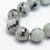 Natural Sesame Jasper/Kiwi Jasper Beads Strands G-L147-8mm-01-1