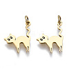 316 Surgical Stainless Steel Enamel Charms STAS-S116-405G-1