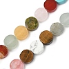 Natural Mixed Stone Flat Round Beads strands G-M454-B01-2