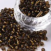 8/0 Glass Seed Beads SEED-A005-3mm-53-1