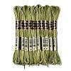 10 Skeins 6-Ply Polyester Embroidery Floss OCOR-K006-A33-1