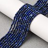 Natural Lapis Lazuli Beads Strands X-G-D165-B-2mm-1