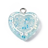 Transparent Resin Pendants RESI-C029-01C-1