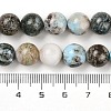 Natural Larimar Beads Strands G-P524-A02-04-5