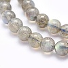 Natural Labradorite Beads Strands G-O166-08-6mm-3