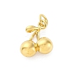 304 Stainless Steel Charms LS-STAS-U049-01A-01G-1