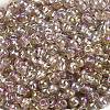 6/0 Glass Seed Beads SEED-T006-04F-08-3