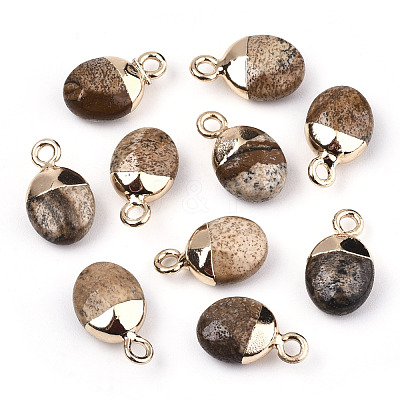 Natural Picture Jasper Charms G-N326-58D-1