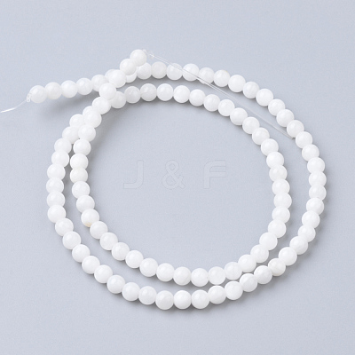 Natural Freshwater Shell Bead Strands SHEL-S249-29-1