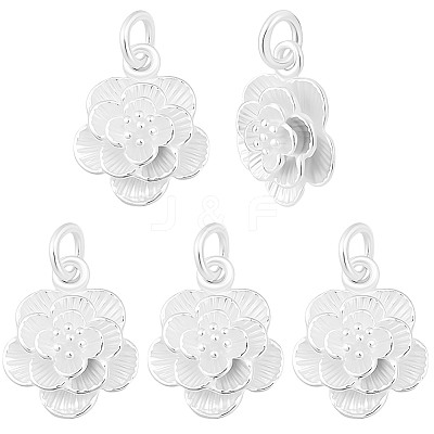 5Pcs 925 Sterling Silver Pendants STER-BBC0009-58-1