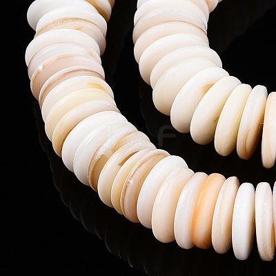 Natural Freshwater Shell Beads Strands X-SSHEL-T017-02-1
