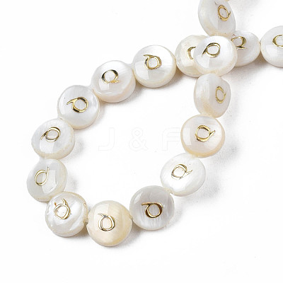 Natural Freshwater Shell Beads X-SHEL-S276-168Q-1