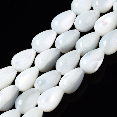Natural Trochid Shell/Trochus Shell Beads Strands SSHEL-S266-022-1