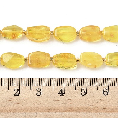 Natural Amber Beads Strands G-L095-C01-02-1