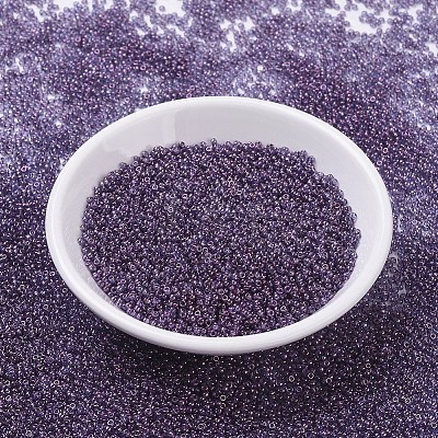 MIYUKI Round Rocailles Beads X-SEED-G007-RR1884-1