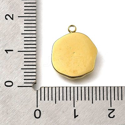 304 Stainless Steel Pendants STAS-R153-03G-06-1