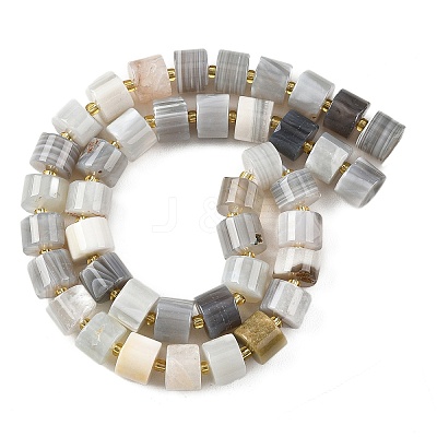 Natural Botswana Agate Beads Strands G-K245-C17-1