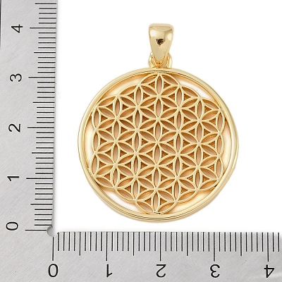 Rack Plating Brass Pendants KK-A224-02A-G-1