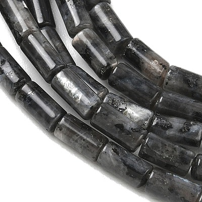 Natural Larvikite Beads Strands G-B091-A20-01-1
