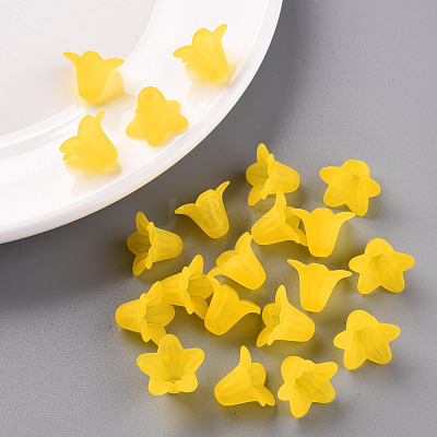 Transparent Acrylic Beads PLF018-19-1