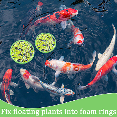 2 Sets EVA Foam Feeding Ring for Fish AJEW-CN0002-52B-1