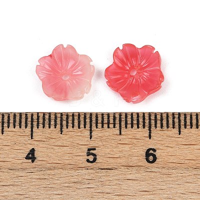 Shell Powder Beads BSHE-L038-01B-1