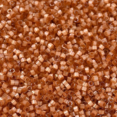 MIYUKI Delica Beads X-SEED-J020-DB1804-1