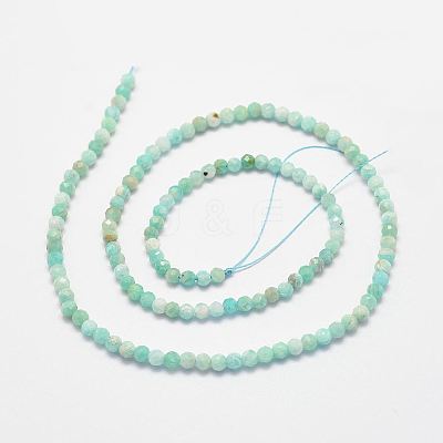 Natural Amazonite Bead Strands G-P279-42-3mm-1