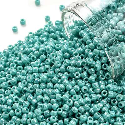 TOHO 11/0 Round Beads X-SEED-TR11-0413-1
