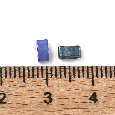 Glass 2-Hole Baking Paint Glass Seed Beads GLAA-G130-01F-1