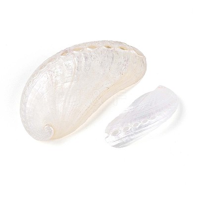 Abalone Shells Ornaments SHEL-T020-54-1
