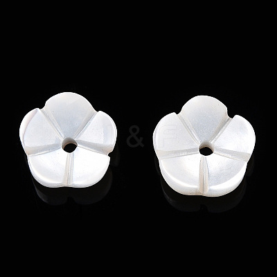 Natural White Shell Beads SSHEL-S260-053-1