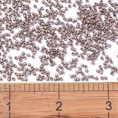 MIYUKI Delica Beads SEED-X0054-DB1061-1