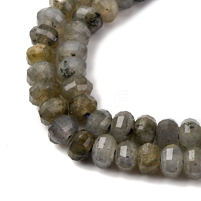 Natural Labradorite Beads Strands G-P587-D13-01-1