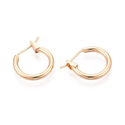 304 Stainless Steel Hoop Earrings EJEW-T048-25A-G-1
