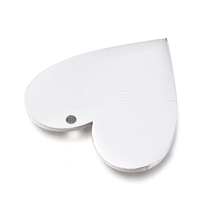 Tarnish Resistant 304 Stainless Steel Pendants STAS-L238-098B-P-1