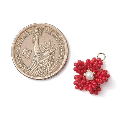Glass Seed Beaded Pendants PALLOY-MZ01246-02-1