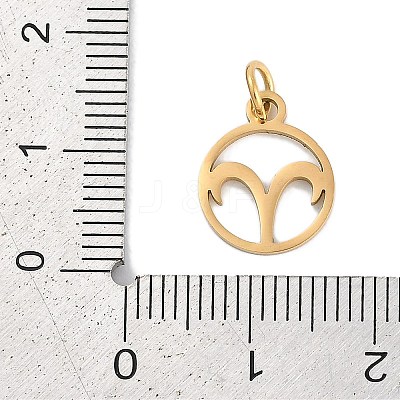 Ion Plating(IP) 304 Stainless Steel Charms STAS-R135-05G-06-1