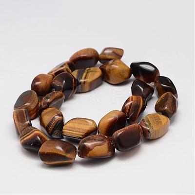 Natural Tiger Eye Bead Strands G-K153-D18-1