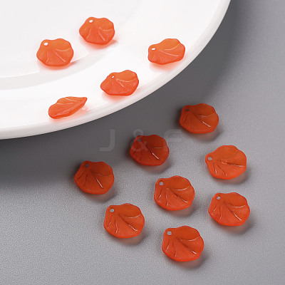 Transparent Frosted Acrylic Pendants MACR-S371-02A-726-1
