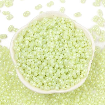 Baking Paint Glass Seed Beads SEED-L011-09A-21-1