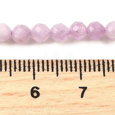Natural Kunzite Beads Strands G-G259-D11-4mm-1