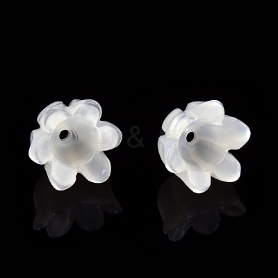 Natural White Shell Bead Caps SSHEL-N032-58A-1