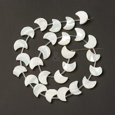 Natural Trochid Shell/Trochus Shell Beads Strands SHEL-F004-01B-1