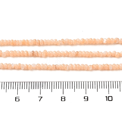 Natural Freshwater Shell Beads Strands SHEL-P017-01A-12-1