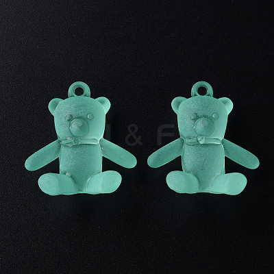 Frosted Acrylic Pendants MACR-S373-60K-01-1