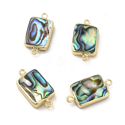 Natural Paua Shell Connector Charms PEAR-P004-40KCG-1