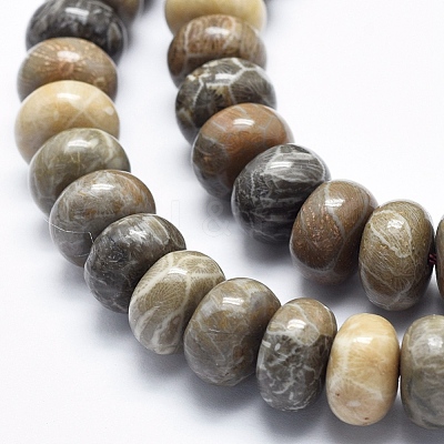 Natural Fossil Coral Beads Strands G-K256-10D-1